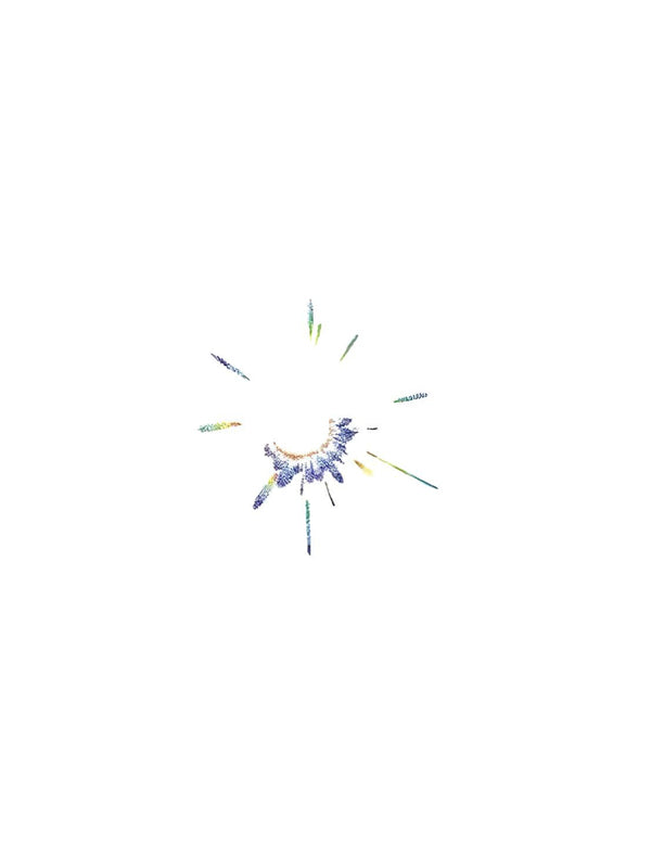 Firework III - Wide Awake NYC inc. -