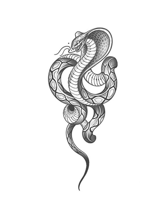 Cobra's Gaze - Wide Awake NYC inc. - 