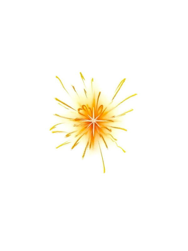 Firework VI - Wide Awake NYC inc. - 
