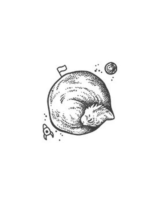 Galactic Kitty - Wide Awake NYC inc. - 