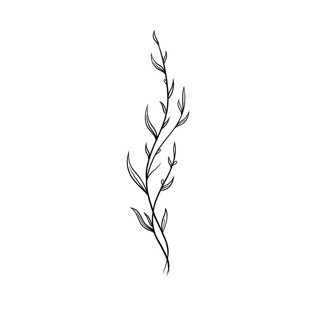 a tattoo of a tall, slender branch with multiple narrow leaves extending from its length, set against a plain white background, capturing natural elegance and simplicity and charm. - Wide Awake NYC 
